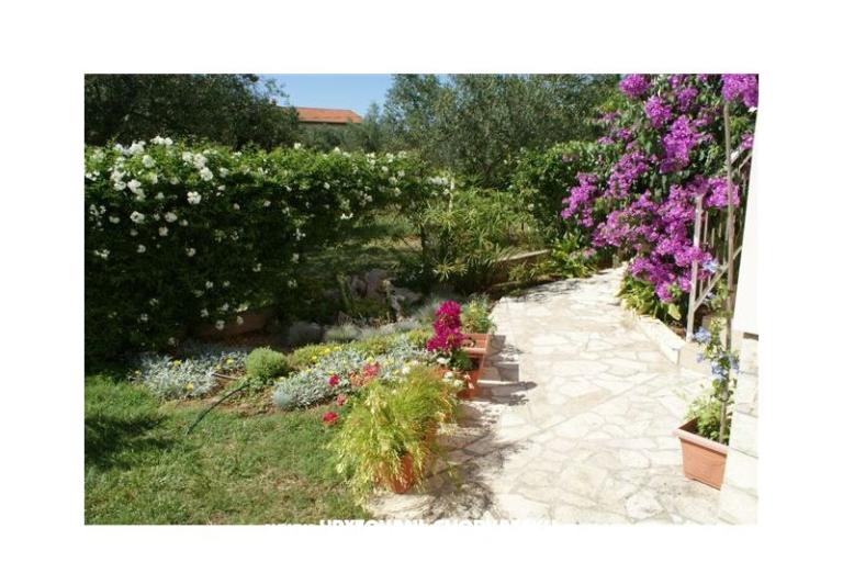 Appartementen Vodopija 50eur/2 os – foto 6