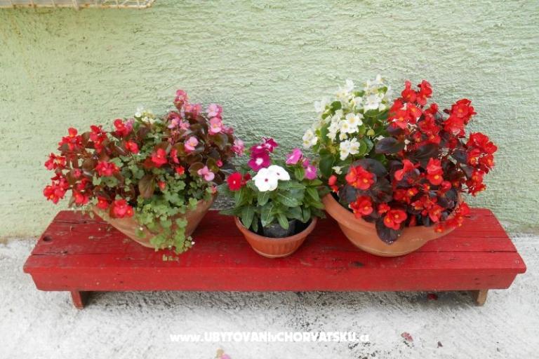 Appartementen Mirjana – foto 12