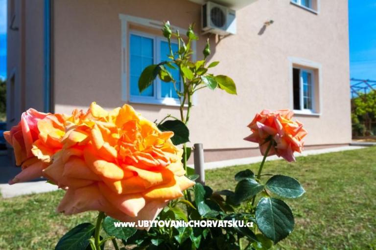 Appartementen Sea view – foto 2