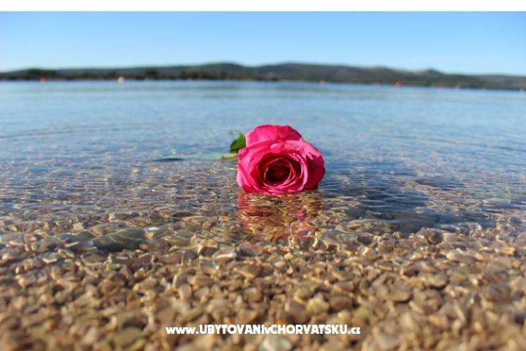 Beach Huis Amarella – foto 14