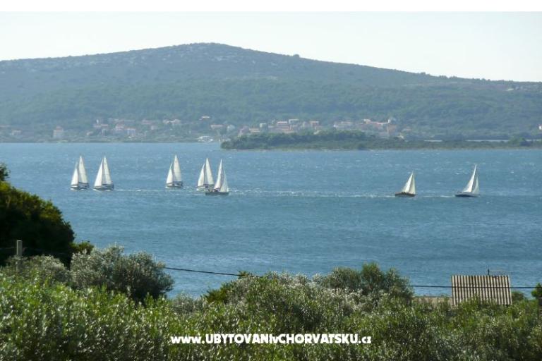 Dva labuda – foto 3