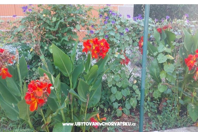 Appartementen Misulic Turanj – foto 16