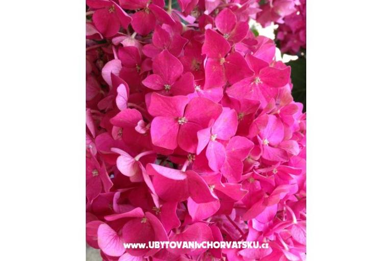 Appartementen Misulic Turanj – foto 19