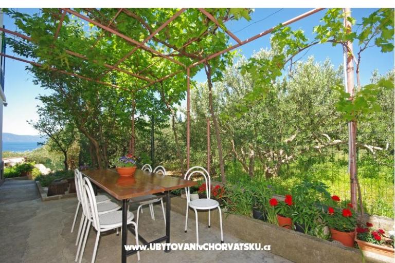 Appartementen i sobe Maslina – foto 16