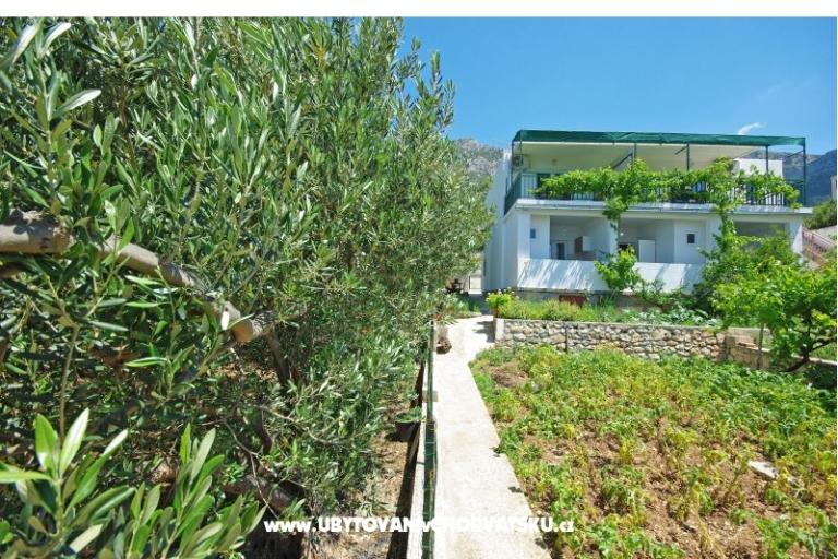 Appartementen i sobe Maslina – foto 9