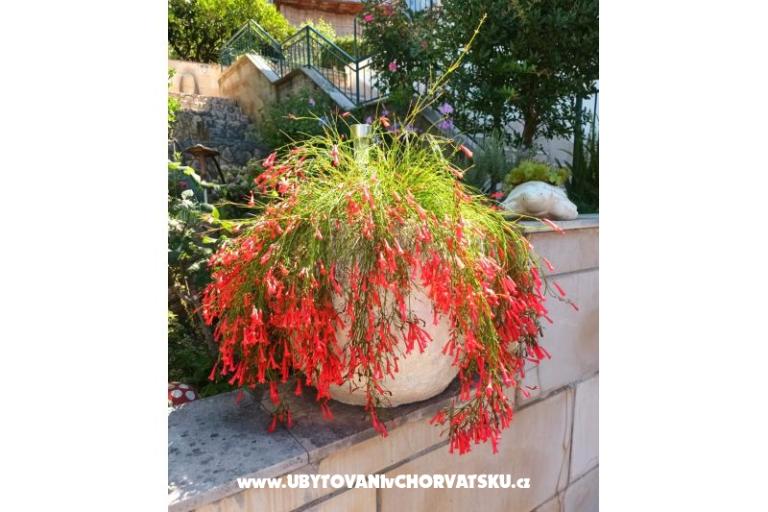 Appartementen Ivana  – foto 19