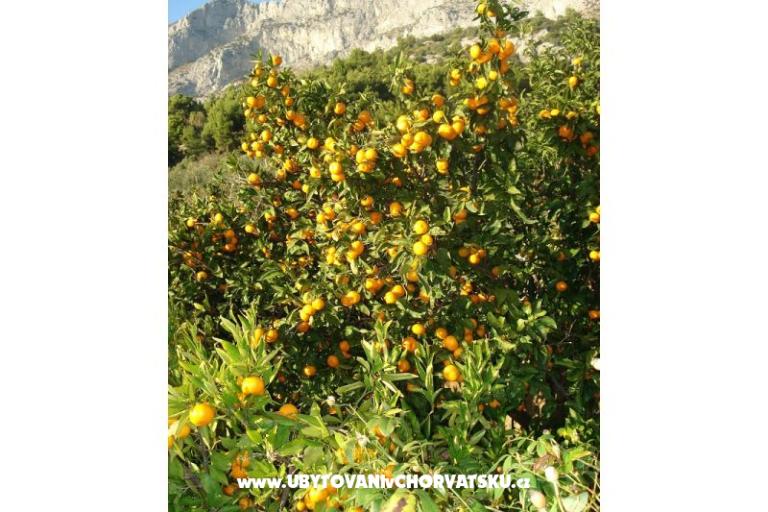 Appartementen Ivana  – foto 27