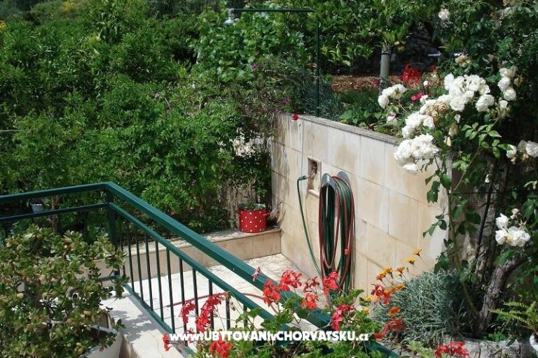 Appartementen Ivana  – foto 4