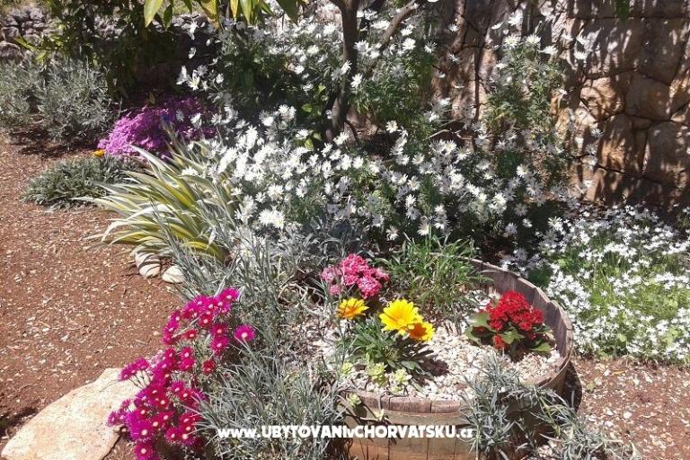 Appartementen Ivana  – foto 8