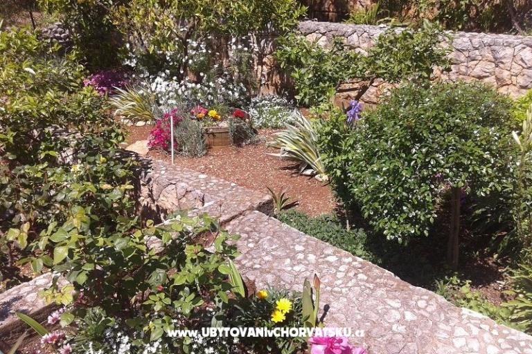 Appartementen Ivana  – foto 9