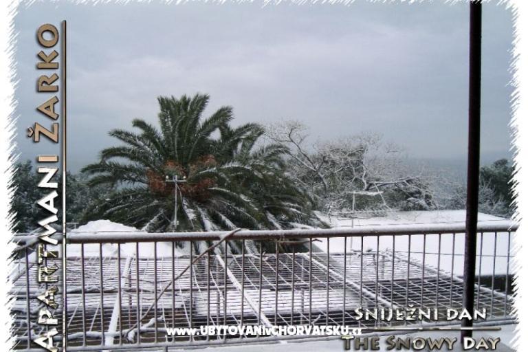 Appartementen Žarko – foto 17