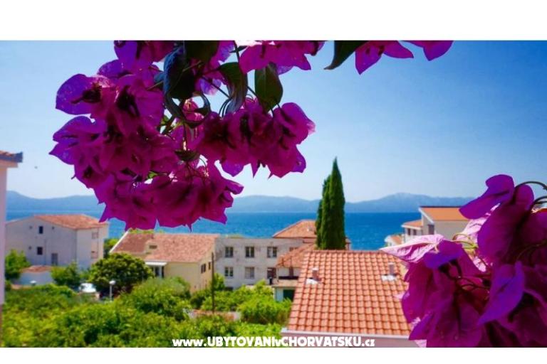 Appartementen Jerković Gradac – foto 7