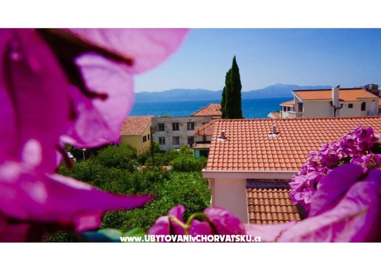 Appartementen Jerković Gradac – foto 8