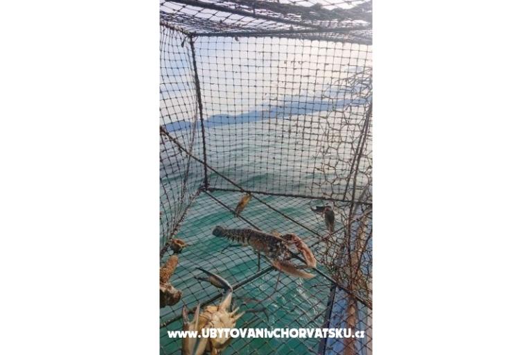 Appartement Toth – foto 15