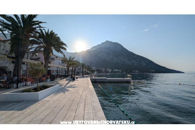 Vice Appartementen – foto 7