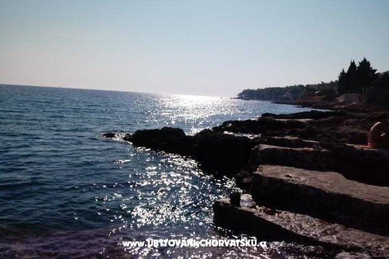 ART AND NATURE  – foto 16