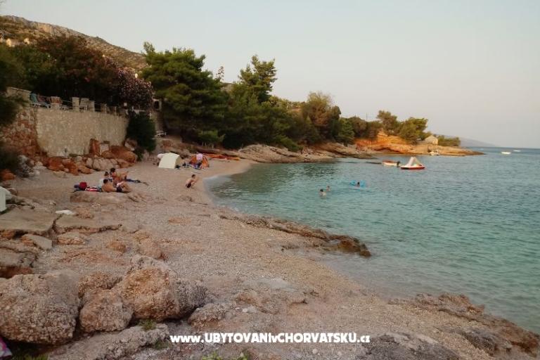 ART AND NATURE  – foto 17