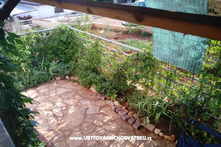 Appartement Paiz – foto 10