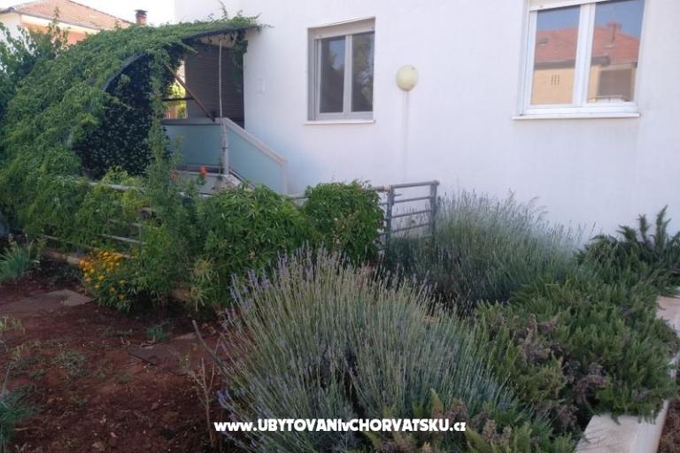 Appartement Paiz – foto 2