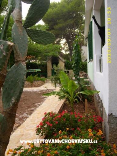 Appartementen Antica – foto 9