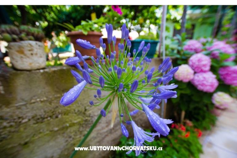 Appartementen Bartul – foto 16