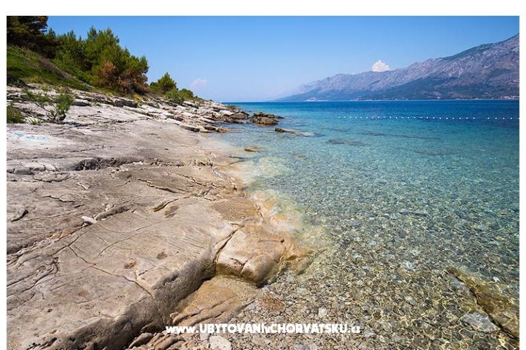 Guest Huis  - Piacun – foto 17