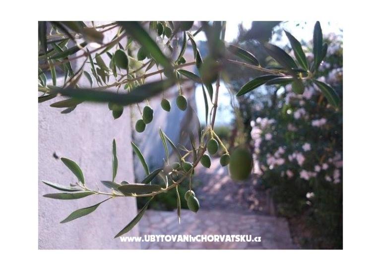 Appartementen Stipišić – foto 6