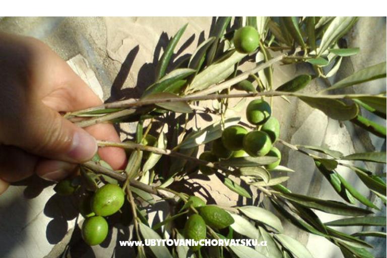 Appartementen  Mate Slavic – foto 31