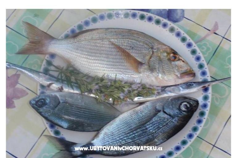 Appartementen Bogović – foto 15