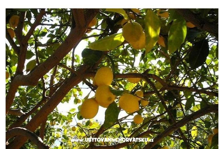 Appartementen Bogović – foto 19