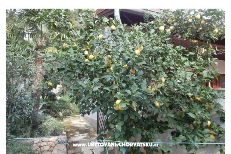 Appartementen Bogović – foto 20
