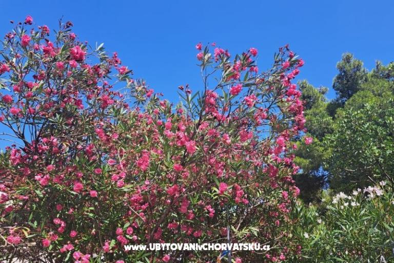 Appartementen Bogović – foto 27