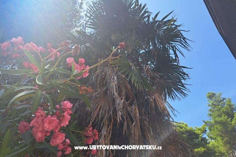 Appartementen Bogović – foto 28