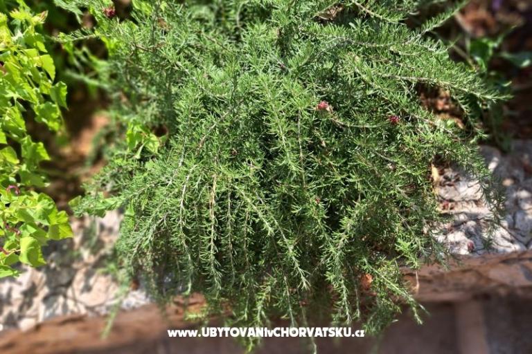 Appartementen Bogović – foto 31