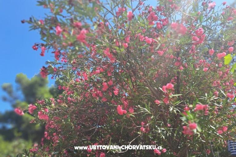 Appartementen Bogović – foto 32