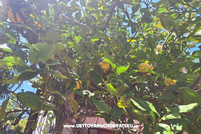 Appartementen Bogović – foto 38