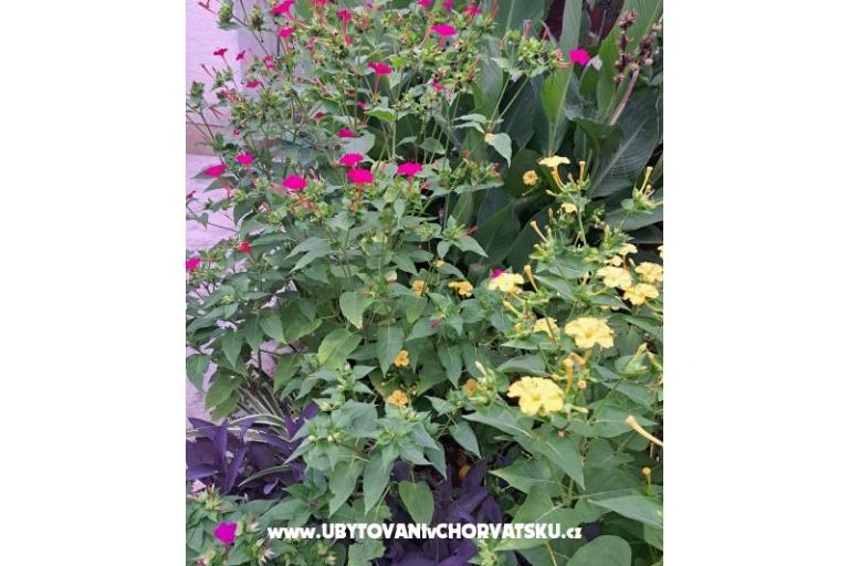 Appartementen Bogović – foto 40