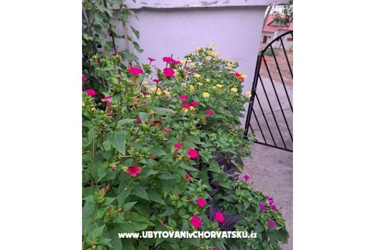 Appartementen Bogović – foto 42