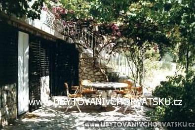 Appartementen Bougainvillea – foto 2