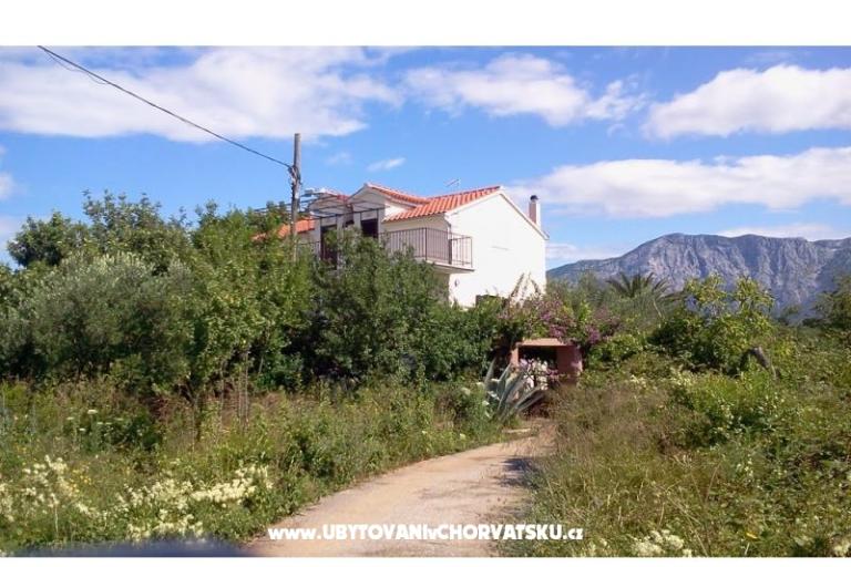 Appartementen Rolanda – foto 13