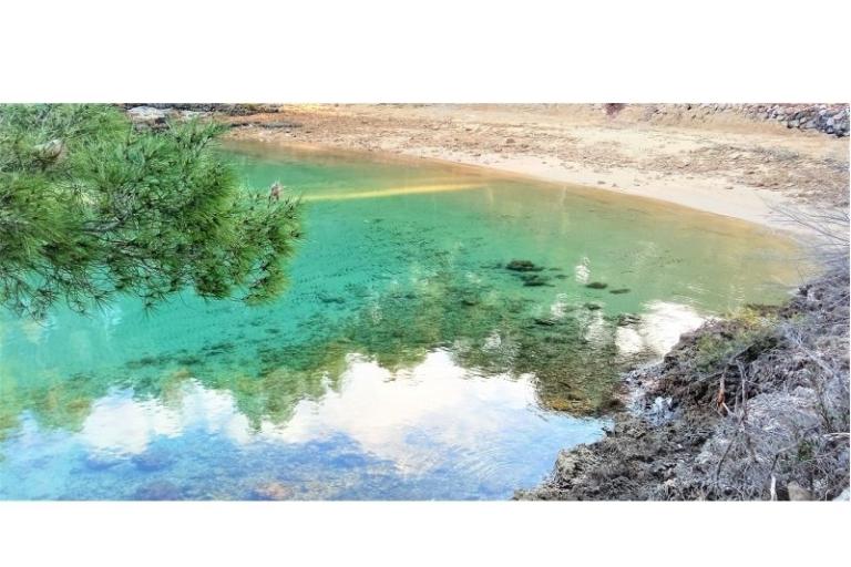 AppartementenNikolinaGrgicevic – foto 12