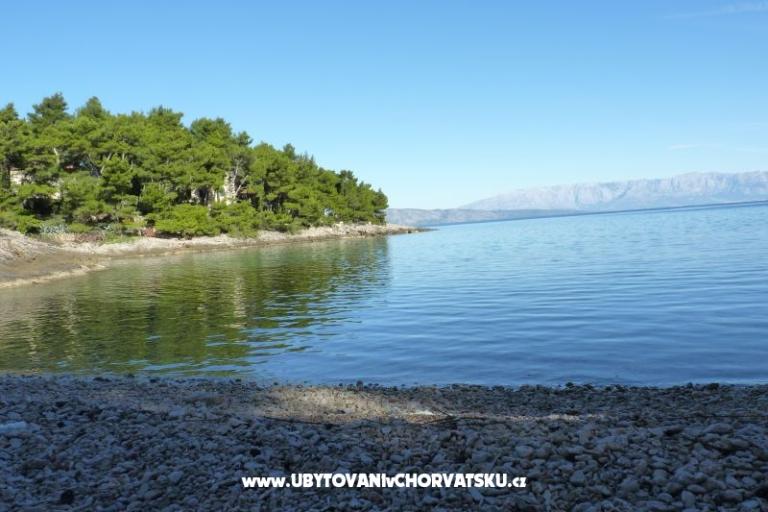 AppartementenNikolinaGrgicevic – foto 7