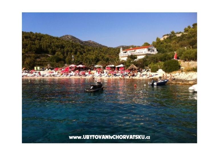 Villa Katarina – foto 16