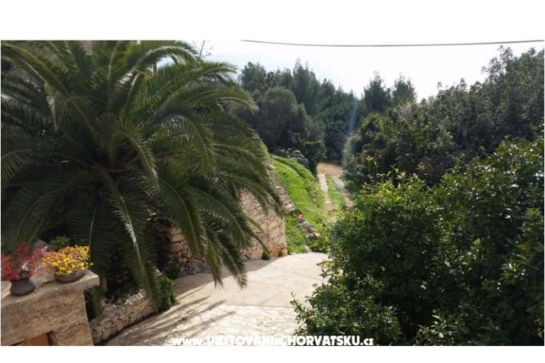 Vakantiehuis Rubinić – foto 4