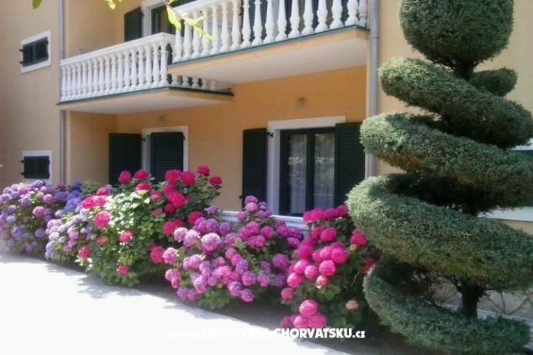 Villa Carevic – foto 4