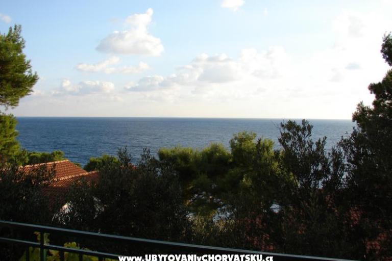 Villa Magnolia – foto 2