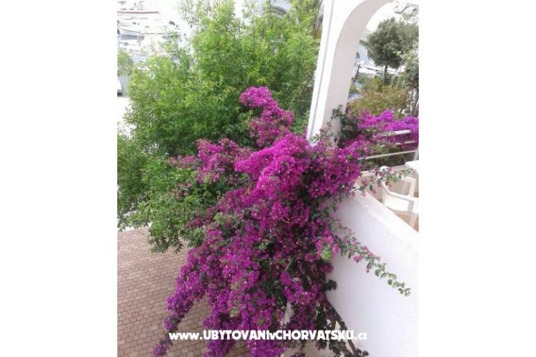 Appartementen Lile – foto 6