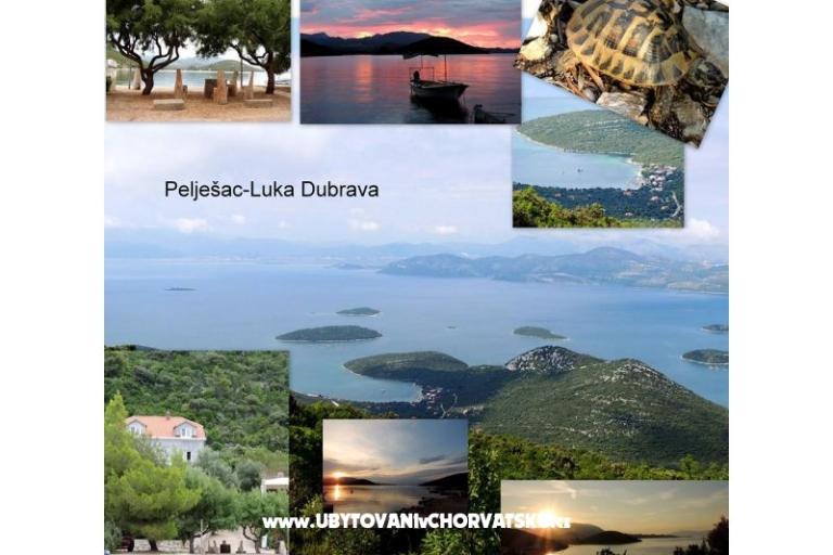 Appartementen Mirjana  – foto 15