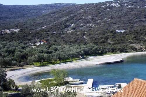 Appartementen Mirjana  – foto 3