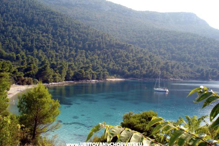 Appartementen Trstenik – foto 8